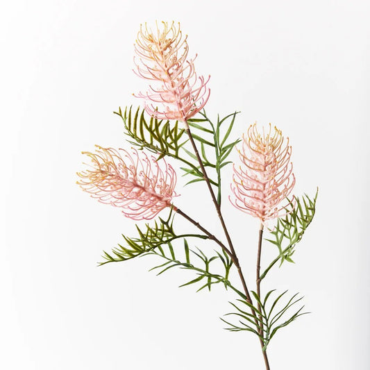 Grevillea Spray