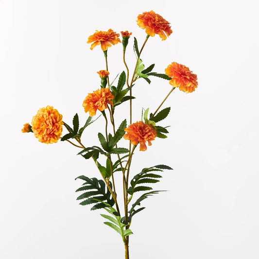 Marigold Spray