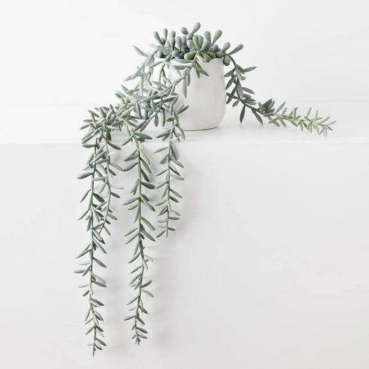 String of Bananas in Pot