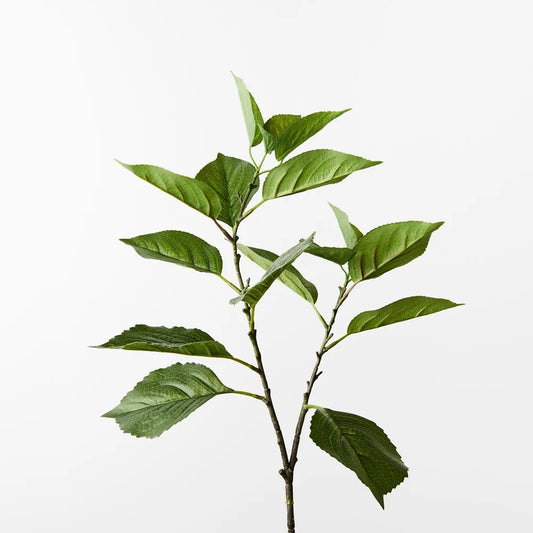 Hydrangea Leaf Spray