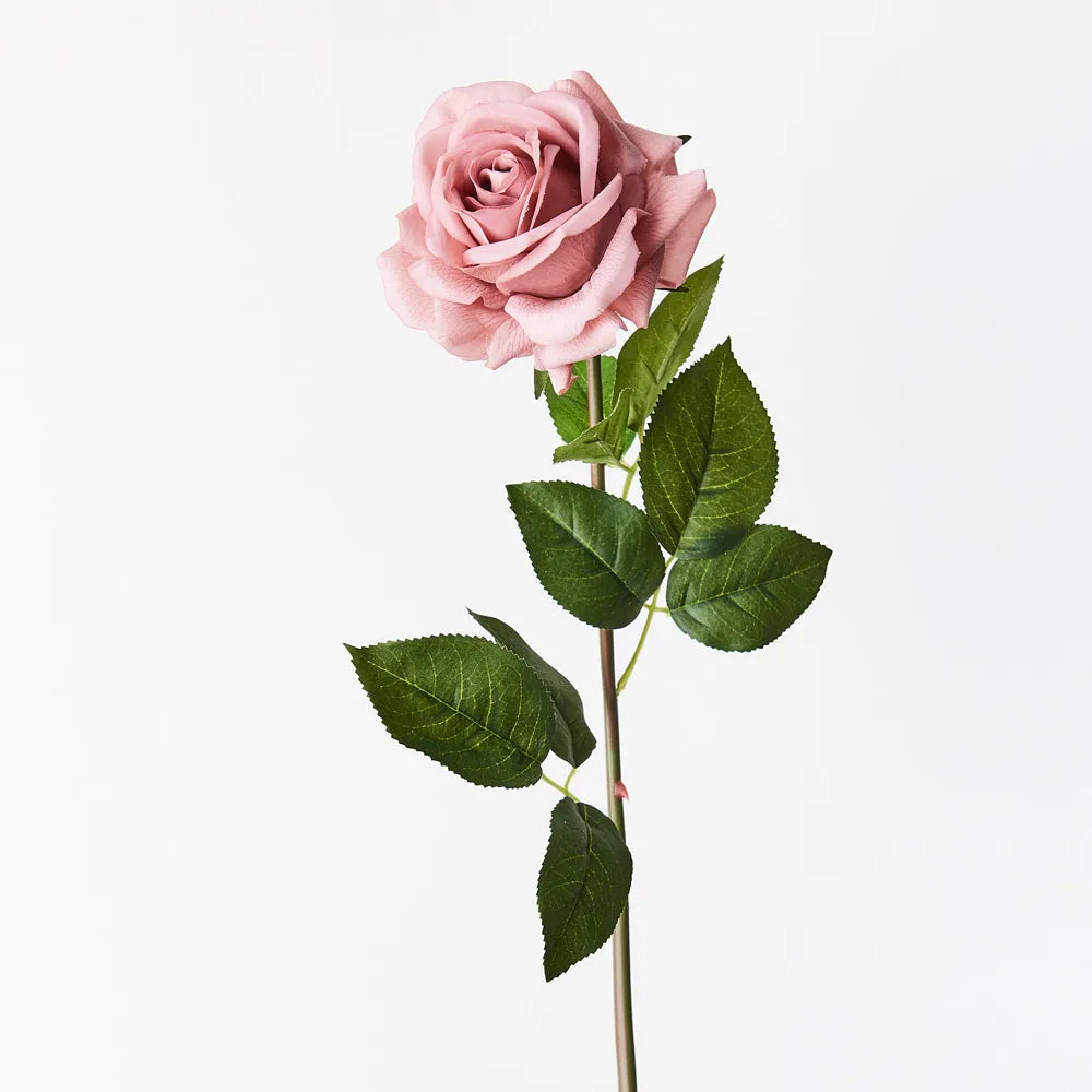 Rose Hannah