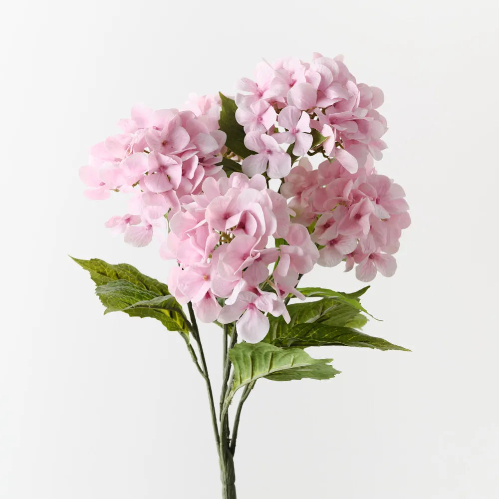 Hydrangea Bush Light Pink