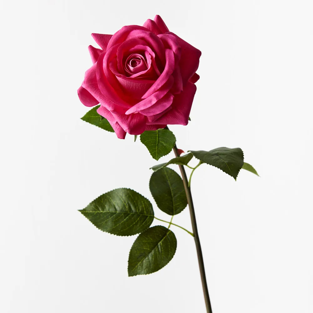 Hannah Rose Fuschia