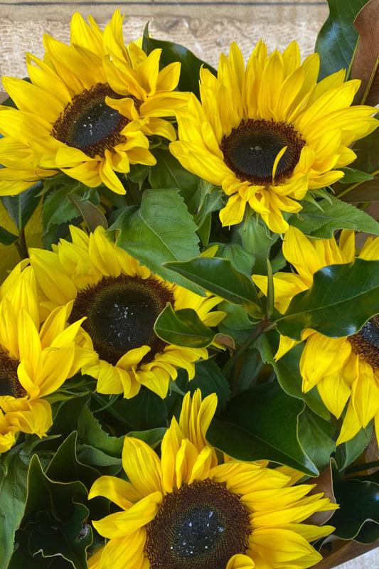 Sunshine Bouquet