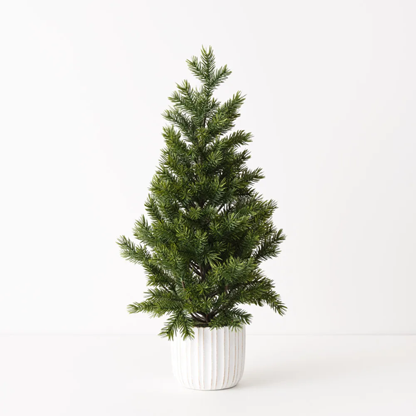 Small Fir in White Pot 66cm