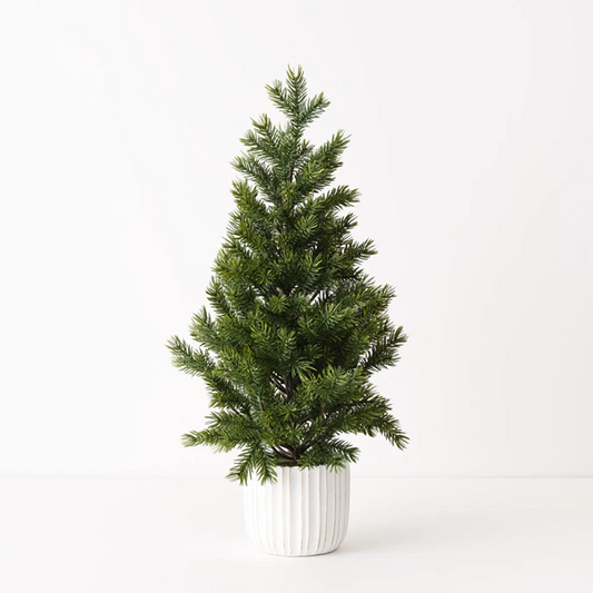 Small Fir in White Pot 66cm