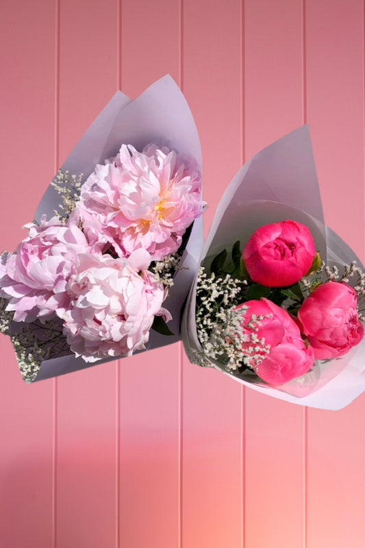 Peonie bunches