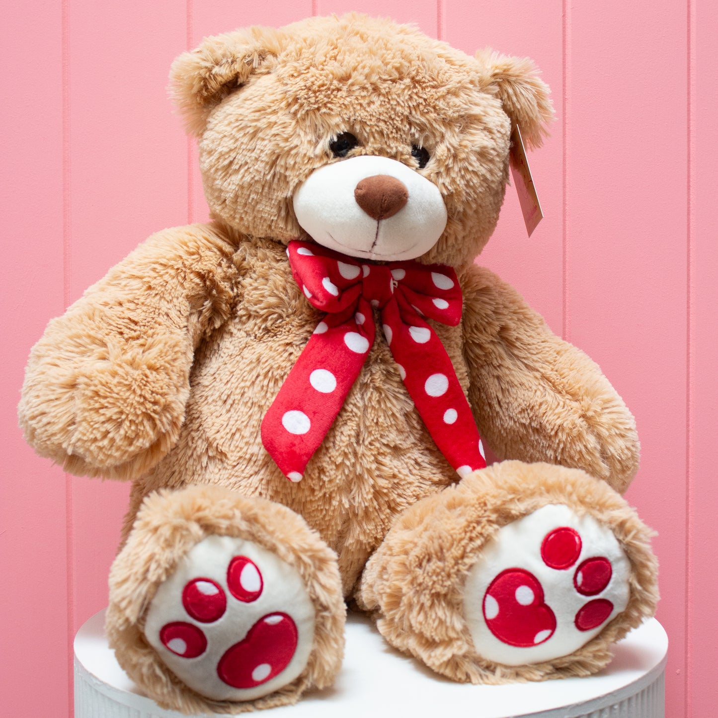 Soft Toys - Teddies