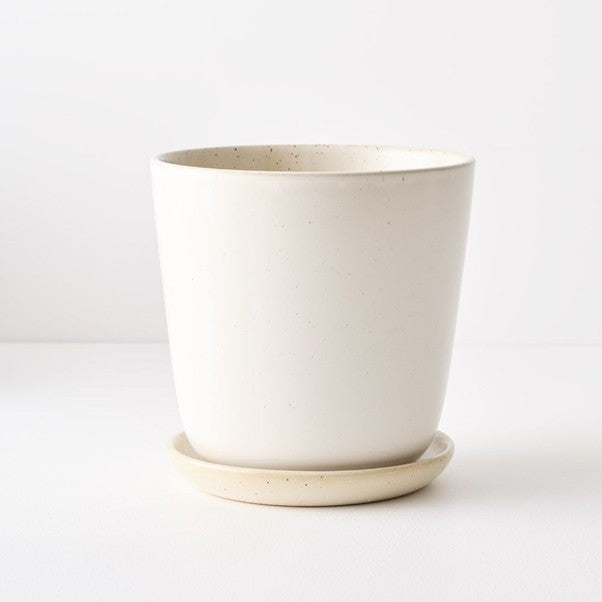 White Pot Gerti w/saucer