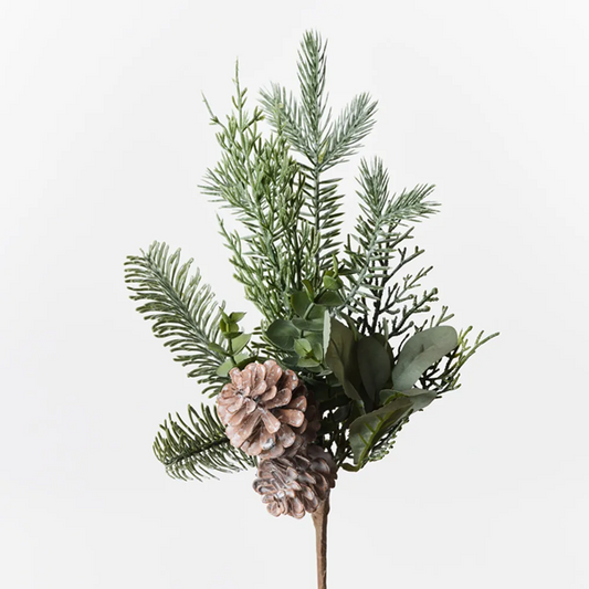 Pine Cone Mix Pick