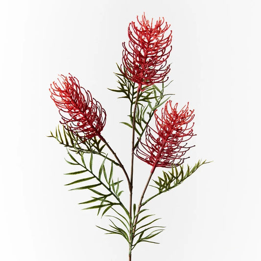 Grevillea Spray