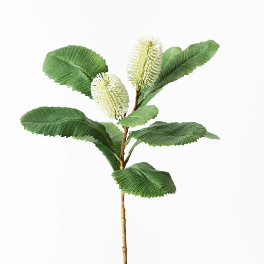Banksia Spray