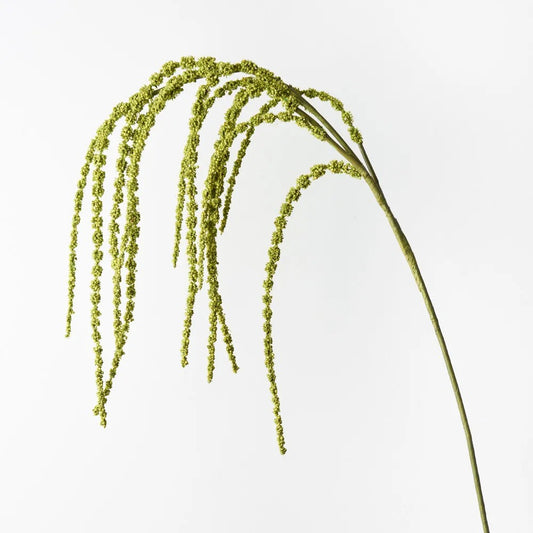 Amaranthus Spray