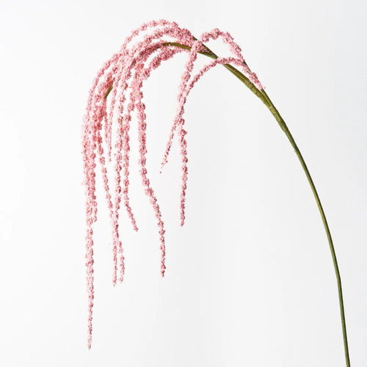 Amaranthus Spray
