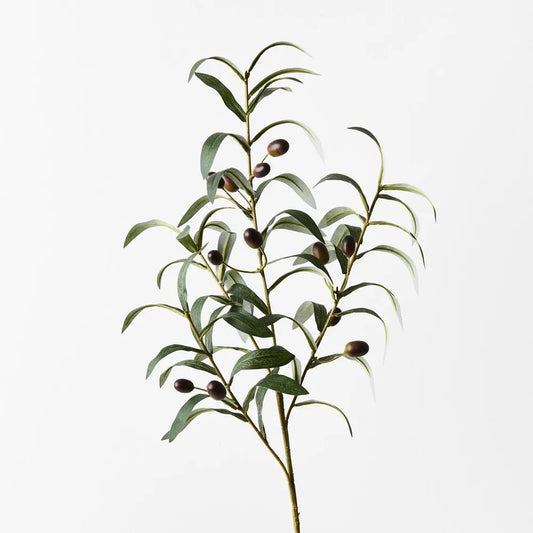 Olive Leaf Spray