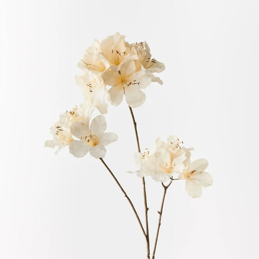 Azalea Spray