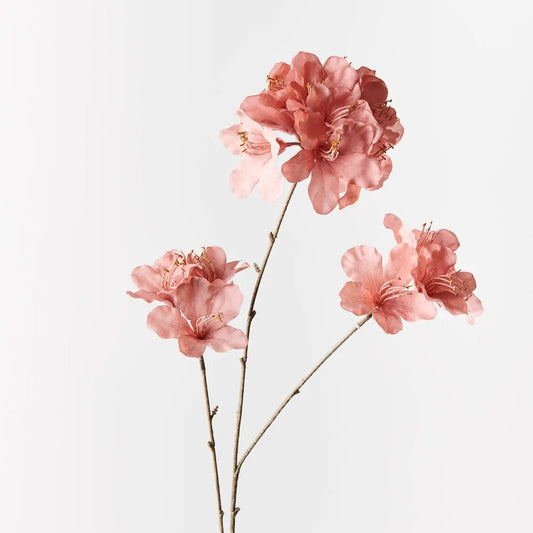 Azalea Spray