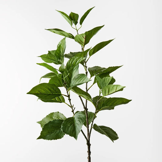 Hydrangea Leaf Spray