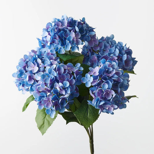 Hydrangea Bush