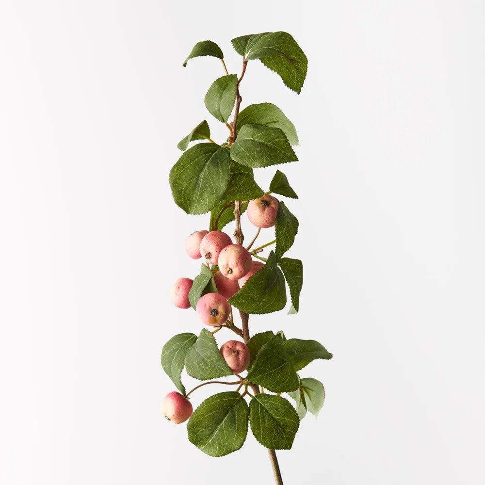 Crabapple