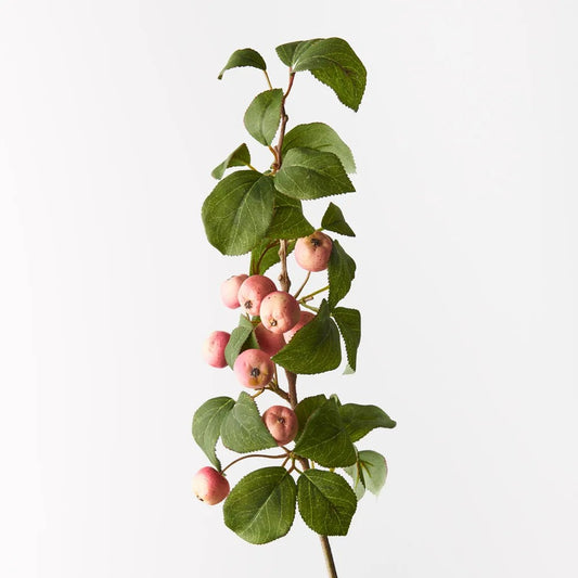 Crabapple