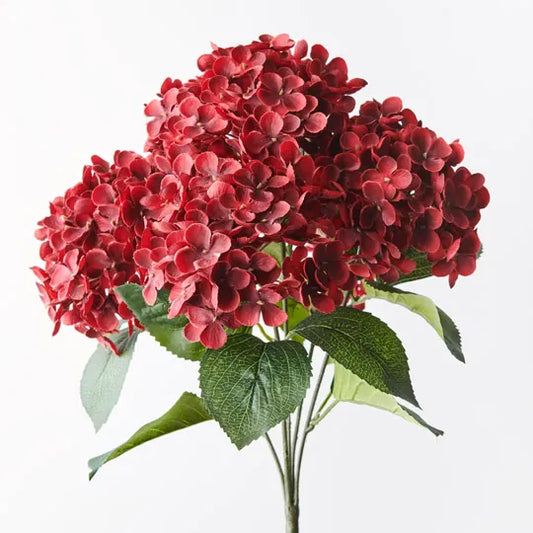 Hydrangea Red Bush 46cml