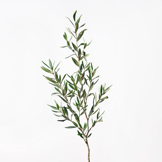 Olive Leaf Spray