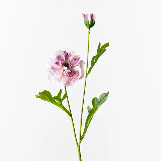 Ranunculus Spray