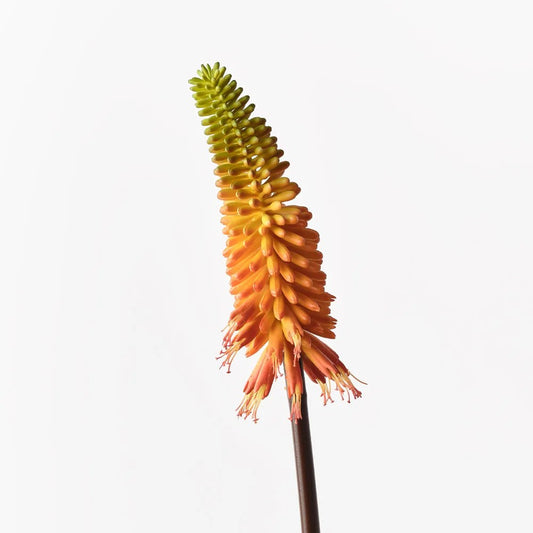 Hot Poker