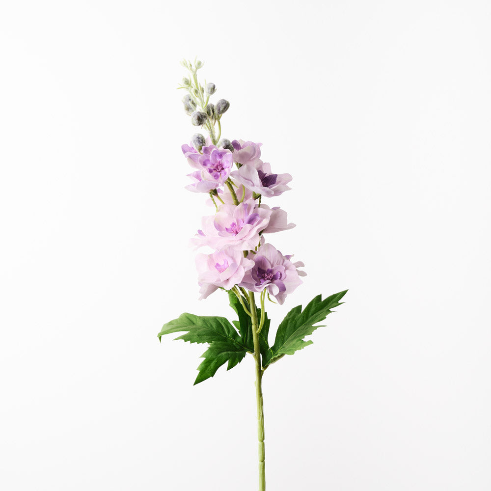 Delphinium Lavender