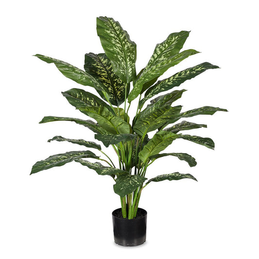 Dieffenbachia 111cm Variegated