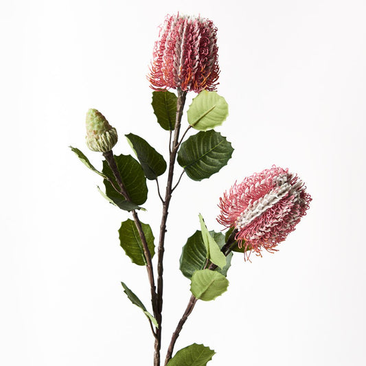 Pink Banksia Spray 71cm