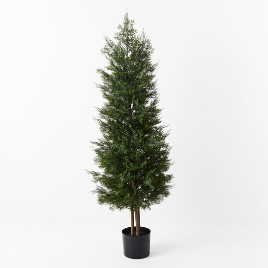 Cedar Tree 150cm