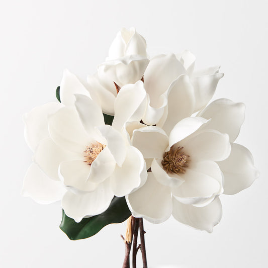 Magnolia Bunch White