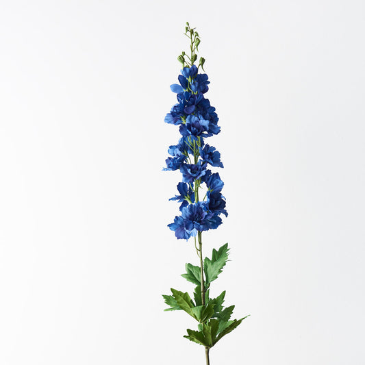 Dark Blue Delphinium