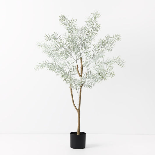 Acacia Tree Grey 122cm tall