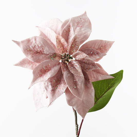 Poinsettia Light Pink Velvet 71cml