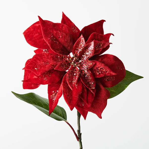 Poinsettia Velvet Red