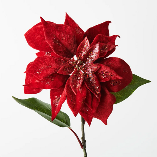 Poinsettia Velvet Red